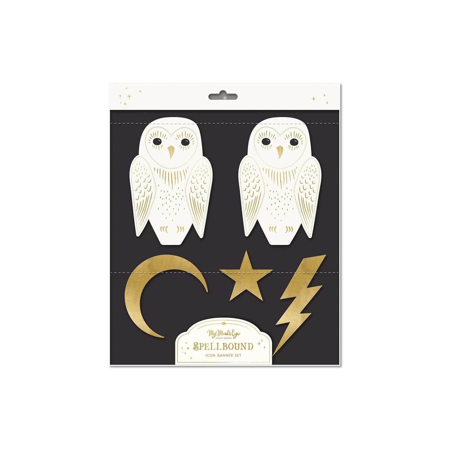Spellbound Owl Banner